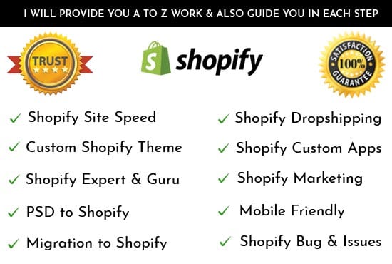 I will build a shopify store for your business