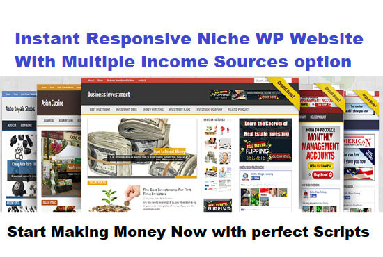 I will build instant responsive niche wp website with multiple income sources option