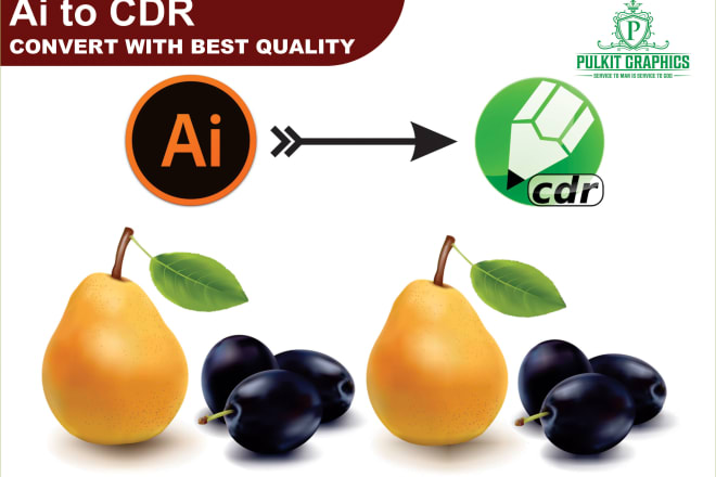 I will convert ai, psd to cdr with best quality work