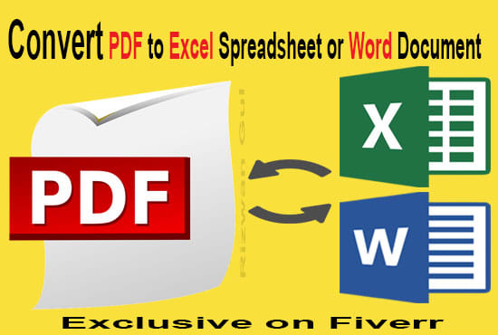 I will convert PDF to excel spreadsheet or word document