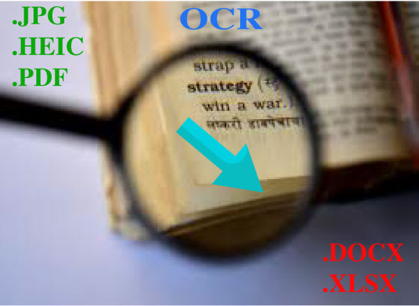 I will convert your scanned document to text using ocr software