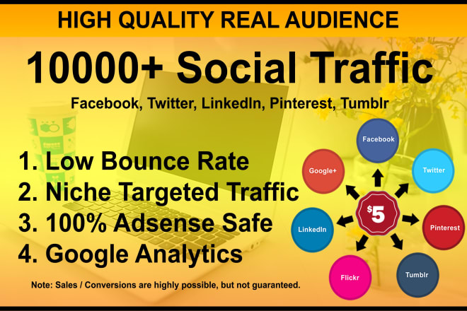 I will convey targeted web traffic