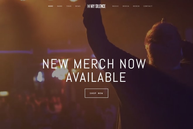 I will create a custom band website or epk using squarespace