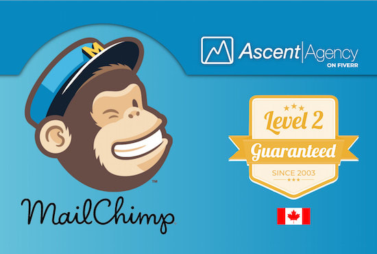 I will create a custom mail chimp campaign