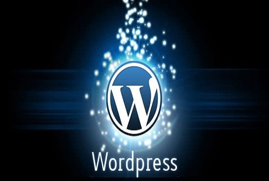 I will create a stunning wordpress website