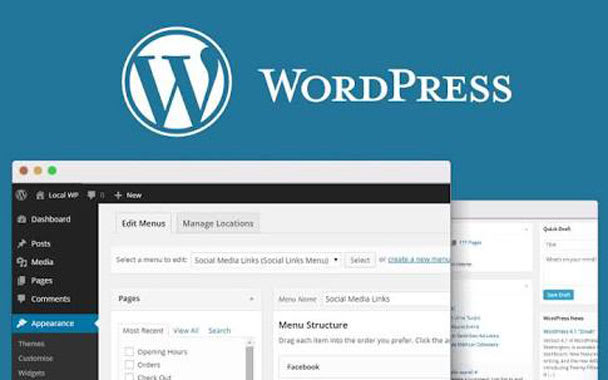 I will create a wordpress website, ecommerce or blog