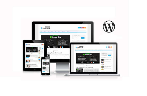 I will create an attractive wordpress site with amazing features