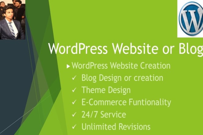 I will create and design professional wordpress website or blog