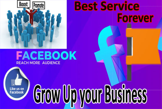 I will create facebook business page and promote your business