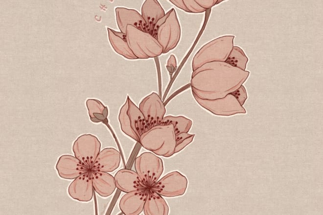 I will create flower illustrations for your blog, prints, or shop
