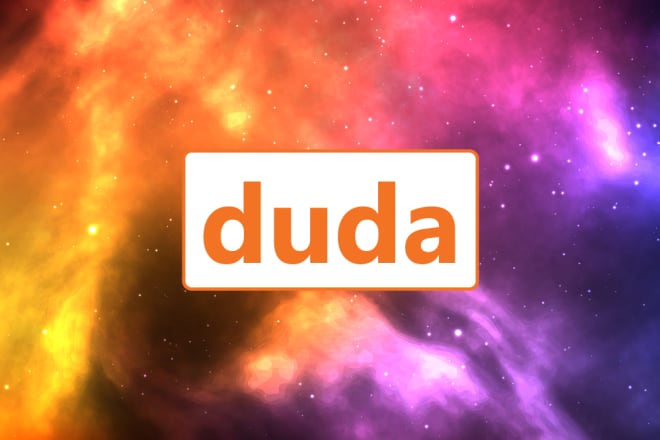 I will design a website using the duda website builder