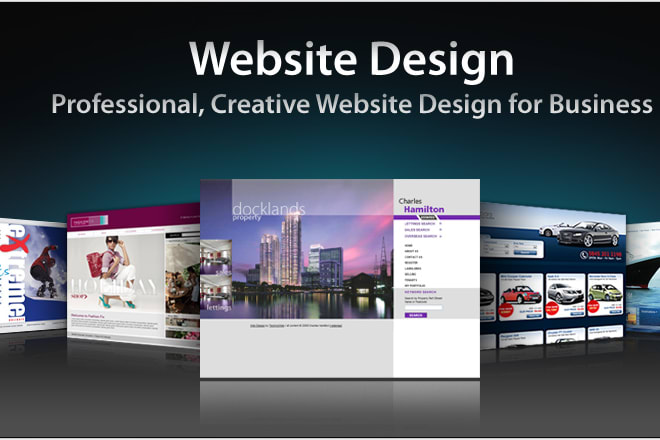I will design and build a professional website