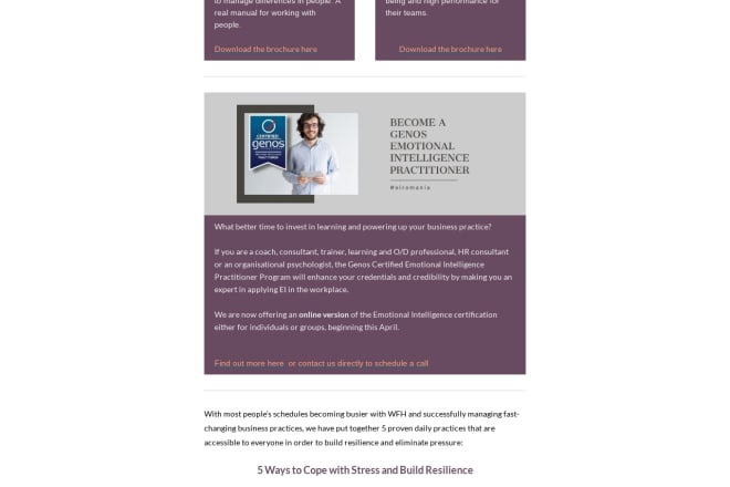 I will design mailchimp newsletters with images in canva pro