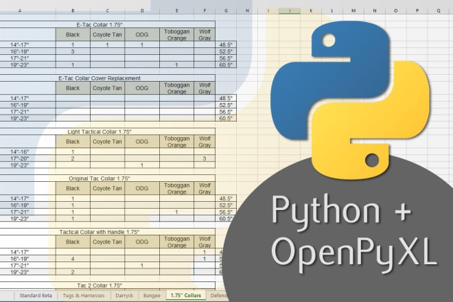 I will do excel processing or manipulation in python