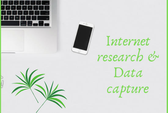 I will do internet research and data capture and collection