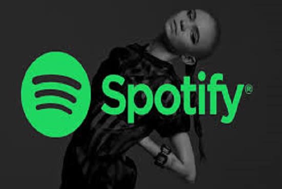 I will do music promotion for your spotify soundcloud and youtube