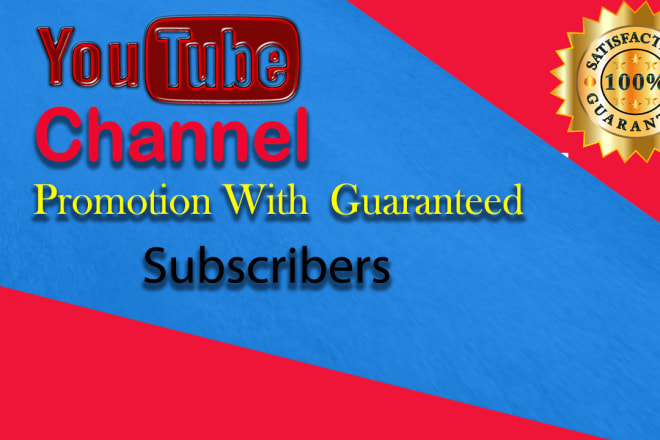 I will do organic professional youtube video promotion