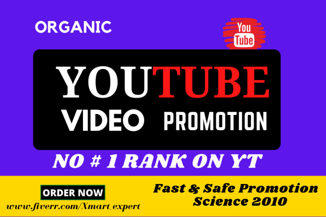 I will do organic youtube video promotion