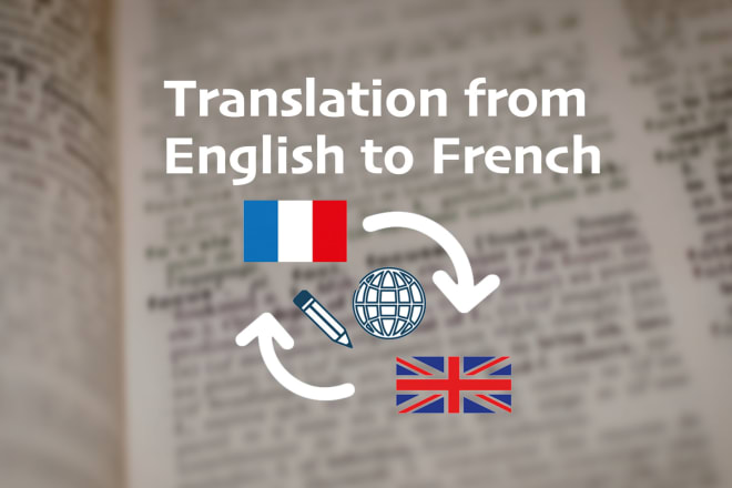 I will do perfect french to english vice versa translation for your business