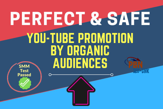 I will do permanent and organic youtube promotion of your video