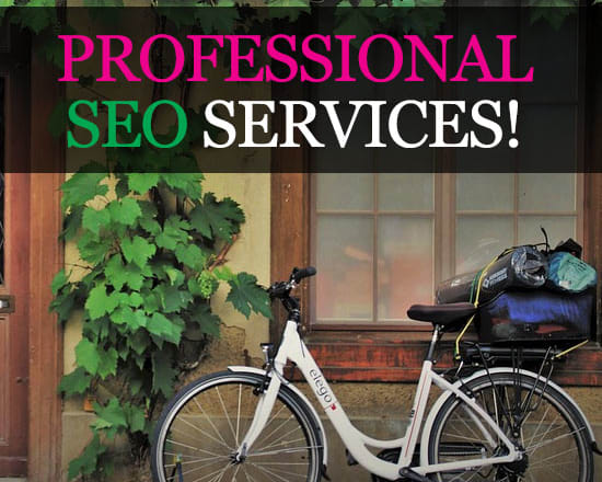 I will do SEO optimization for your homepage or web page both on and off site