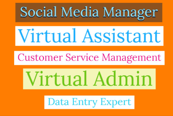 I will do social media, digital marketing as a virtual assistant