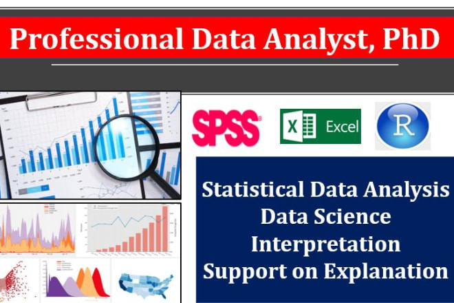 I will do statistical data analysis in excel, r and spss 24 hours