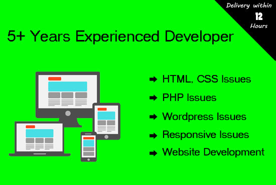 I will do web development and fix html, css, php, wordpress issues