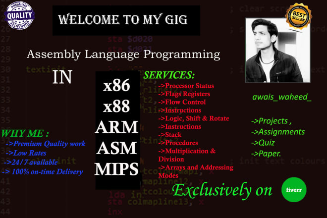 I will do x86, x88, arm, asm, mips assembly language progamming project