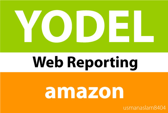 I will do yodel web reporting for your amazon business