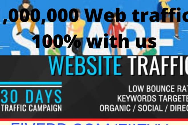 I will drive organic web traffic from any targeted web visitors