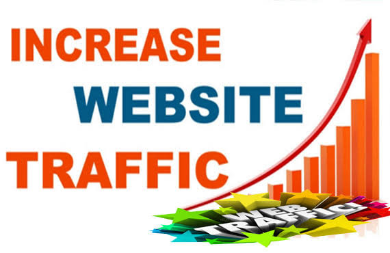 I will drive real and organic traffic for your online business