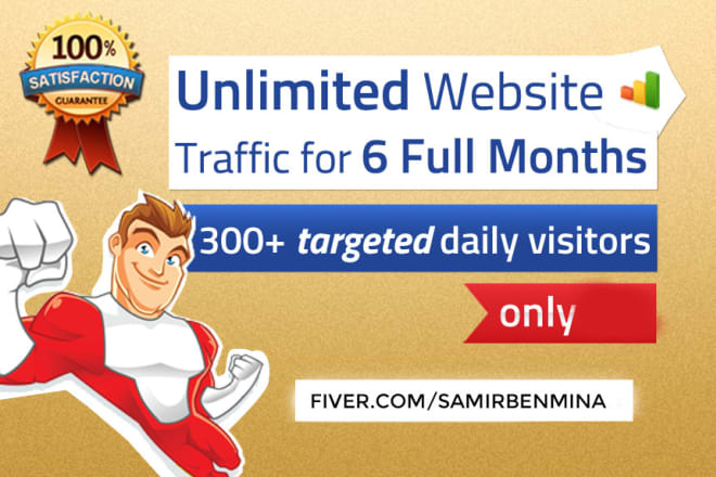 I will drive targeted real human website traffic for 6 months