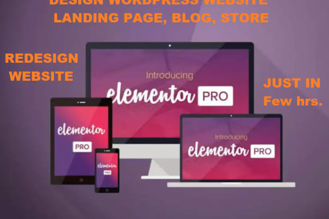 I will elementor pro website designer
