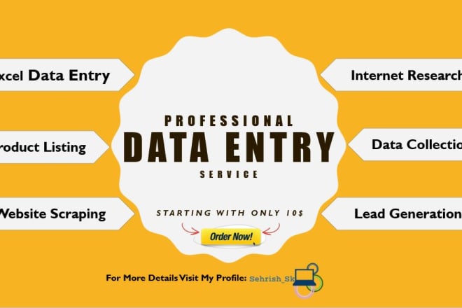 I will fast input data entry with manually typing and web research