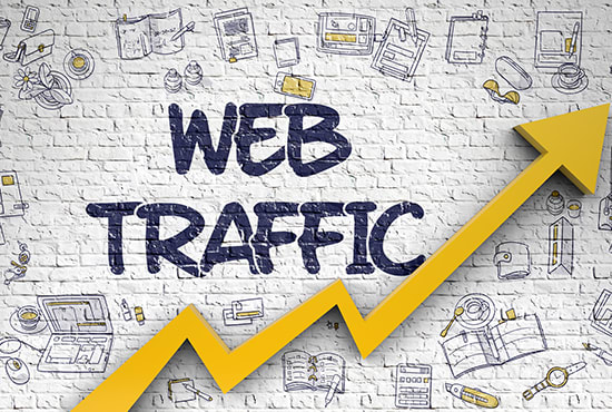 I will guide unlimited human traffic to google,facebook,instagram,youtube for 30 days