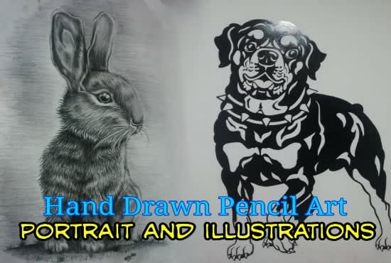 I will hand drawn pencil art portraits and illustrations