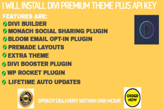 I will install divi premium theme plus API key within 1 hour