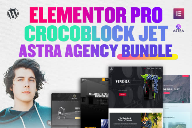 I will install elementor pro astra agency and crocoblock licensed updatable