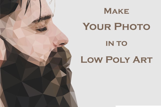 I will make unique and detail low poly art your photo