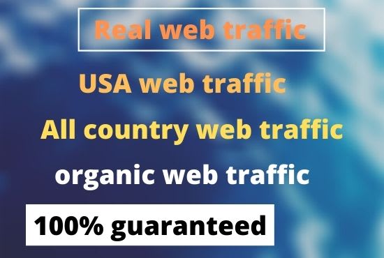I will manage you are web traffic