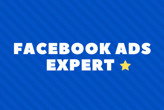 I will manage your facebook ad manager campaigns