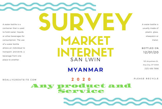 I will market and internet survey for any product and service
