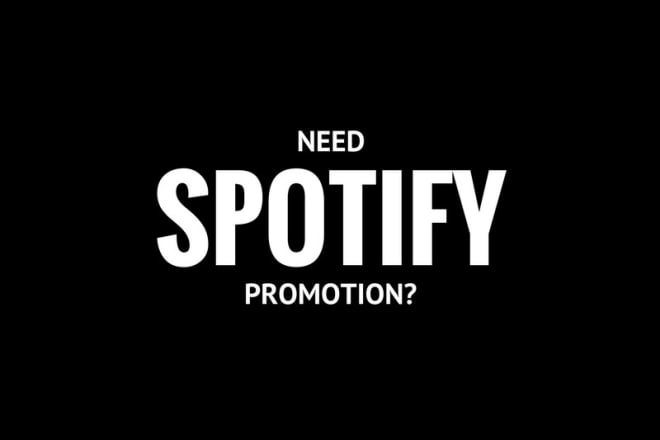 I will organically promote your song on spotify
