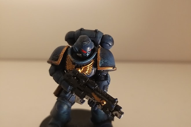 I will paint warhammer 40k and dungeons and dragons miniature