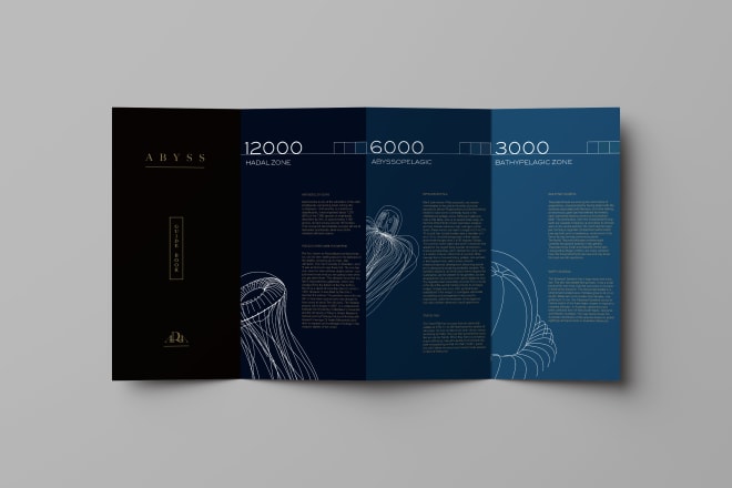 I will personalize modern brochure design for you