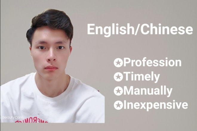 I will provide ccurate manual translation services at low prices