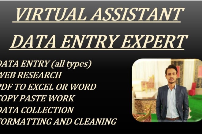 I will provide data entry and virtual assistant services