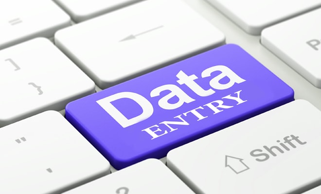 I will provide data entry services for large and small projects
