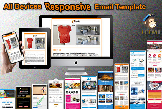 I will provide mailchimp template and full services as expert